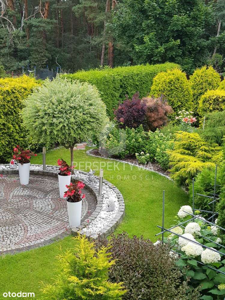 Niezwykle Zadbany Szereg Z Uroczym Ogrodem-0