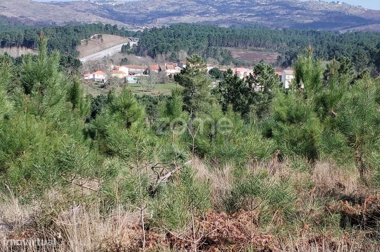 Terreno agricola e florestal.-25