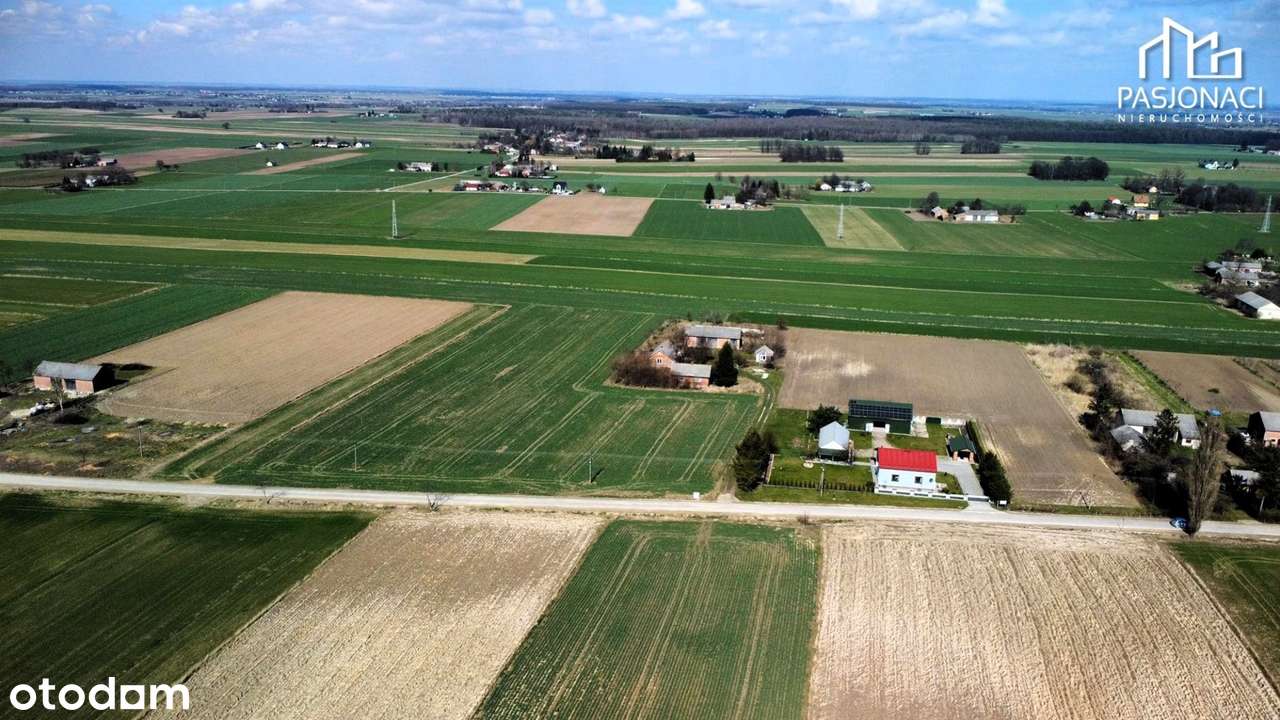 Działka budowlana 3050 m2 w atrkcyjnej cenie - Pełny obrazek: 4/5