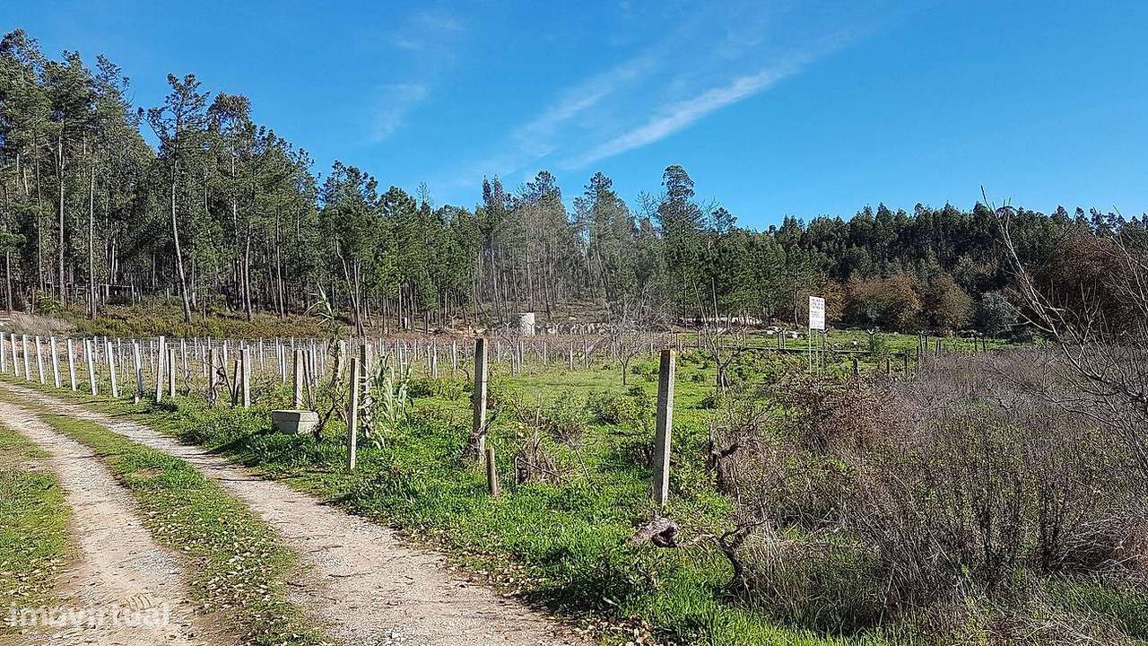 Terreno  para venda - Grande imagem: 4/7