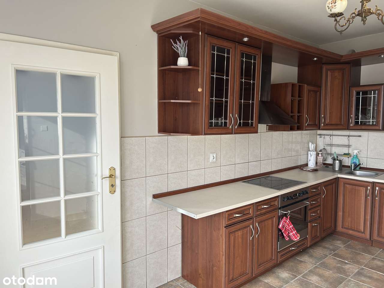 Wynajmę przestronny, zadbany dom 140 m² z ogrodem – Bełchatów - Pełny obrazek: 5/20