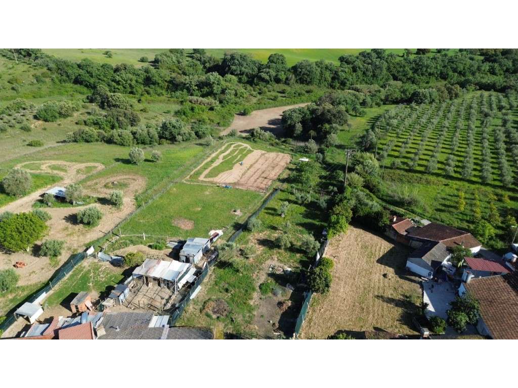 Vendese Quinta com Casa T4, Adega, Lagar e Terreno com Árvores de F...-45