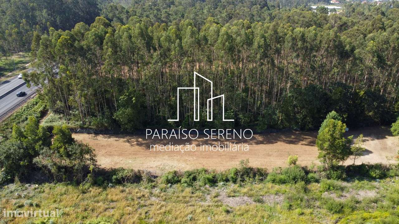 Terreno para Arrendar - Grande imagem: 5/7