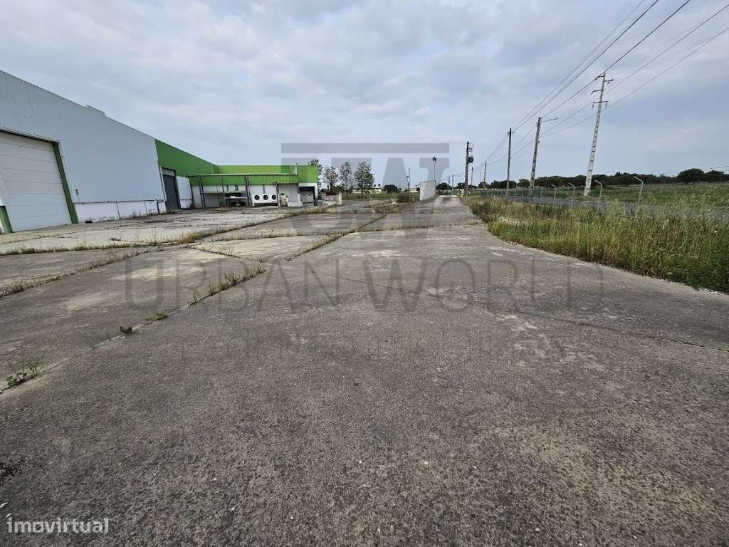 Armazém, Salvaterra de Magos - Santarém, 3.026 m2-10