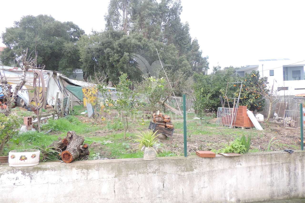 Lote terreno P/ Construção - Toledo / Vimeiro - Grande imagem: 4/9