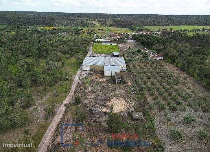 Armazém, para venda, Chamusca - Parreira e Chouto - Grande imagem: 2/3