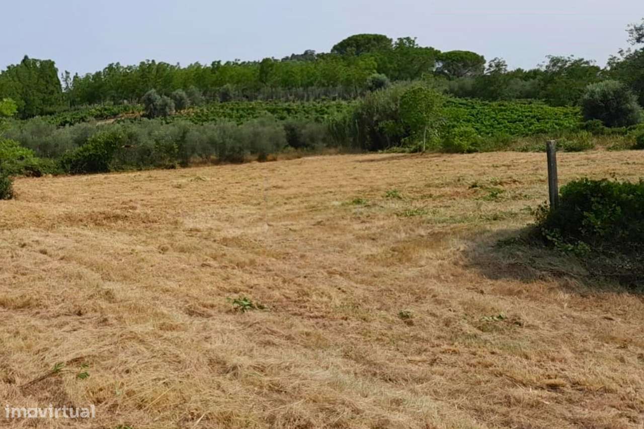Terreno, Aveiro, Mealhada, Mealhada, Ventosa do Bairro e Antes - Grande imagem: 2/5