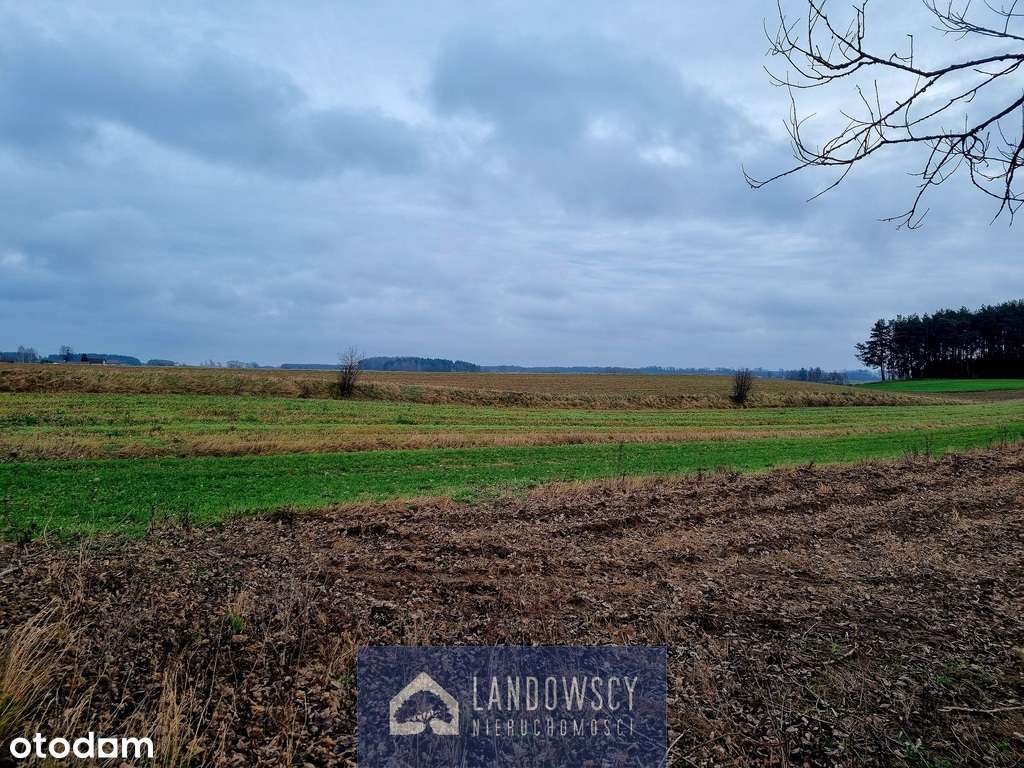 Ziemia rolna dla każdego - Jaroszewy - Pełny obrazek: 4/19