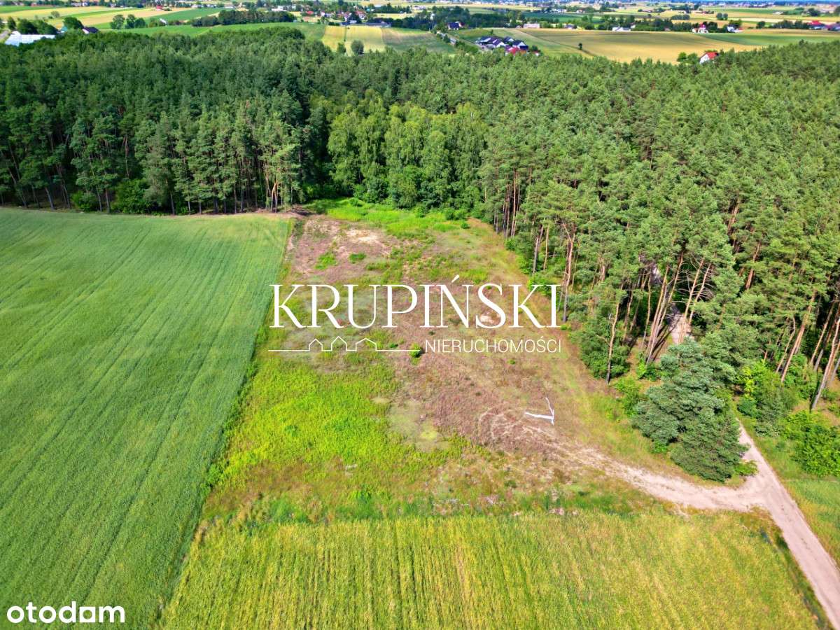 Dobrzejewice działki pod lasem! - Pełny obrazek: 4/17