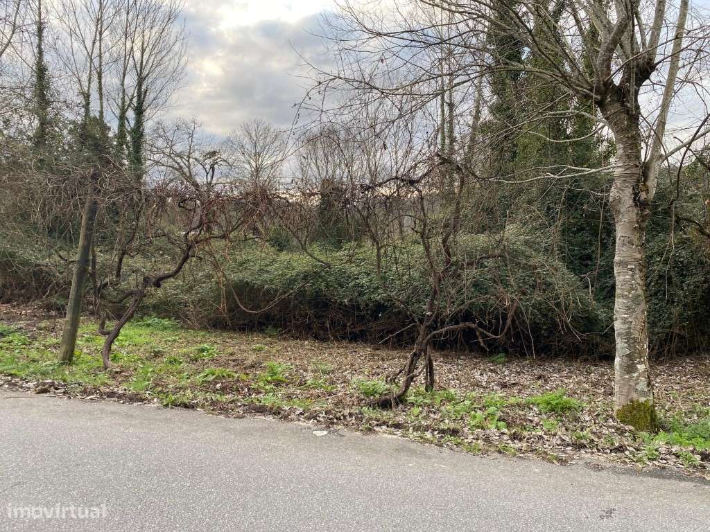 Terreno Agrícola | 3100m² - Grande imagem: 3/11