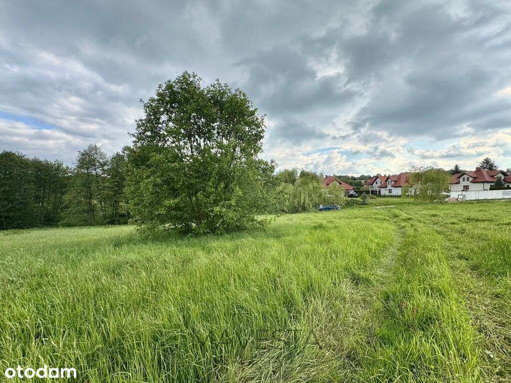 Działka rolna | 20 arów | Chorągwica-5