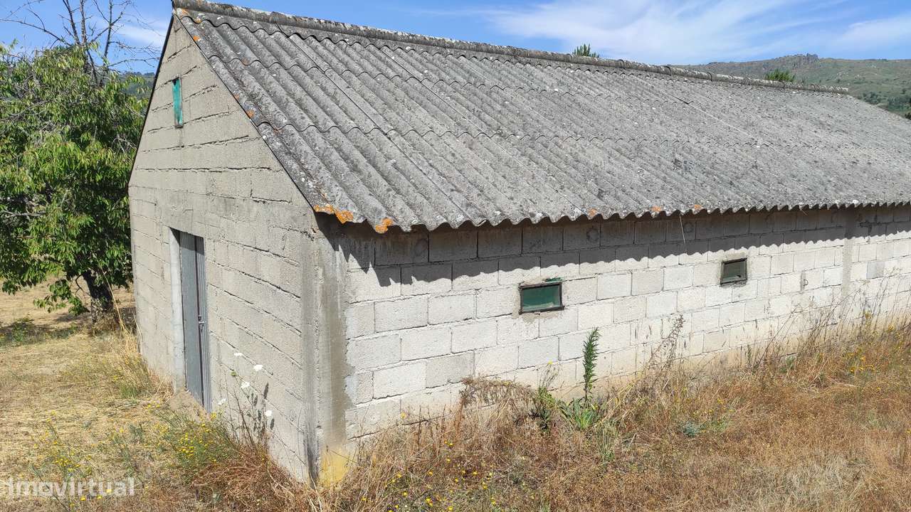 Quinta na Beira Alta (5 hectares) - Água Própria,  Excelentes Acessos - Grande imagem: 5/5