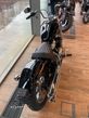 Harley-Davidson Softail - 6