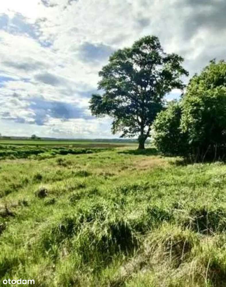 Działki budowlane w malowniczej okolicy puszczy noteckiej - Pełny obrazek: 5/9