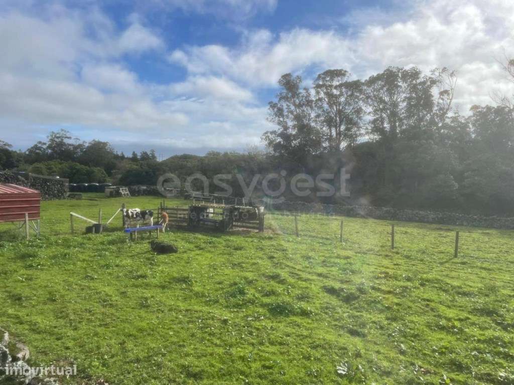 Terreno amplo para construção em zona verde e tranquila - Grande imagem: 4/21