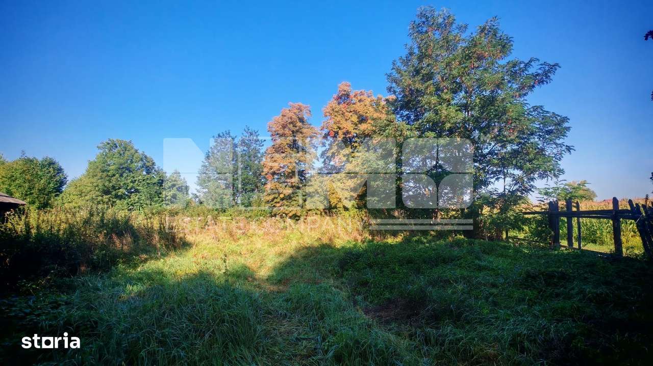 TEREN INTRAVILAN | FRATĂUȚII NOI | 1.1 HA - Imagine principală: 4/14