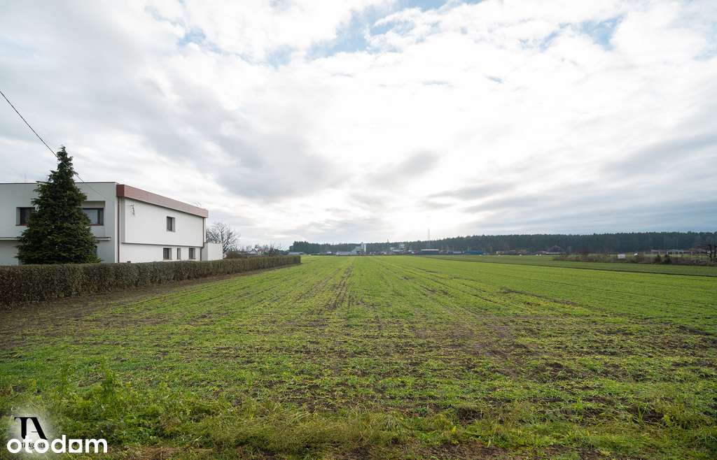 Działka o pow. 0,4834 ha, Kąkolewo, ul. Gruszkowa - Pełny obrazek: 4/5