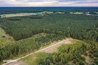 Piękne działki budowlane w Puszczy Białej | 1000 m