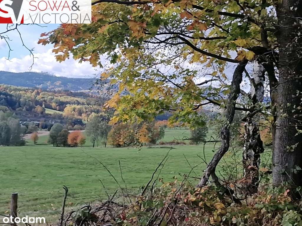 Z widokiem na góry, z możliwością WZ - Pełny obrazek: 2/12