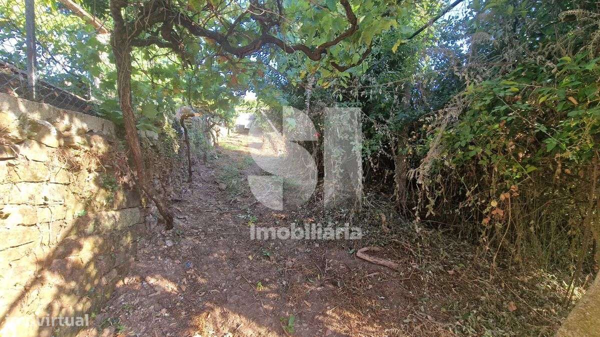 Terreno - potencial de investimento - Astromil - Paredes-29