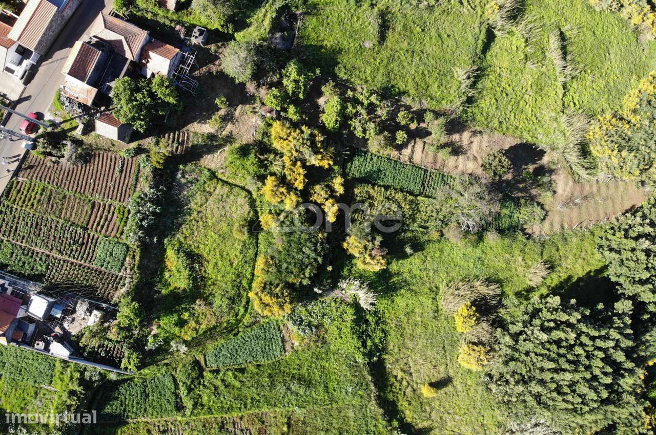 TERRENO PLANO - Grande imagem: 5/13