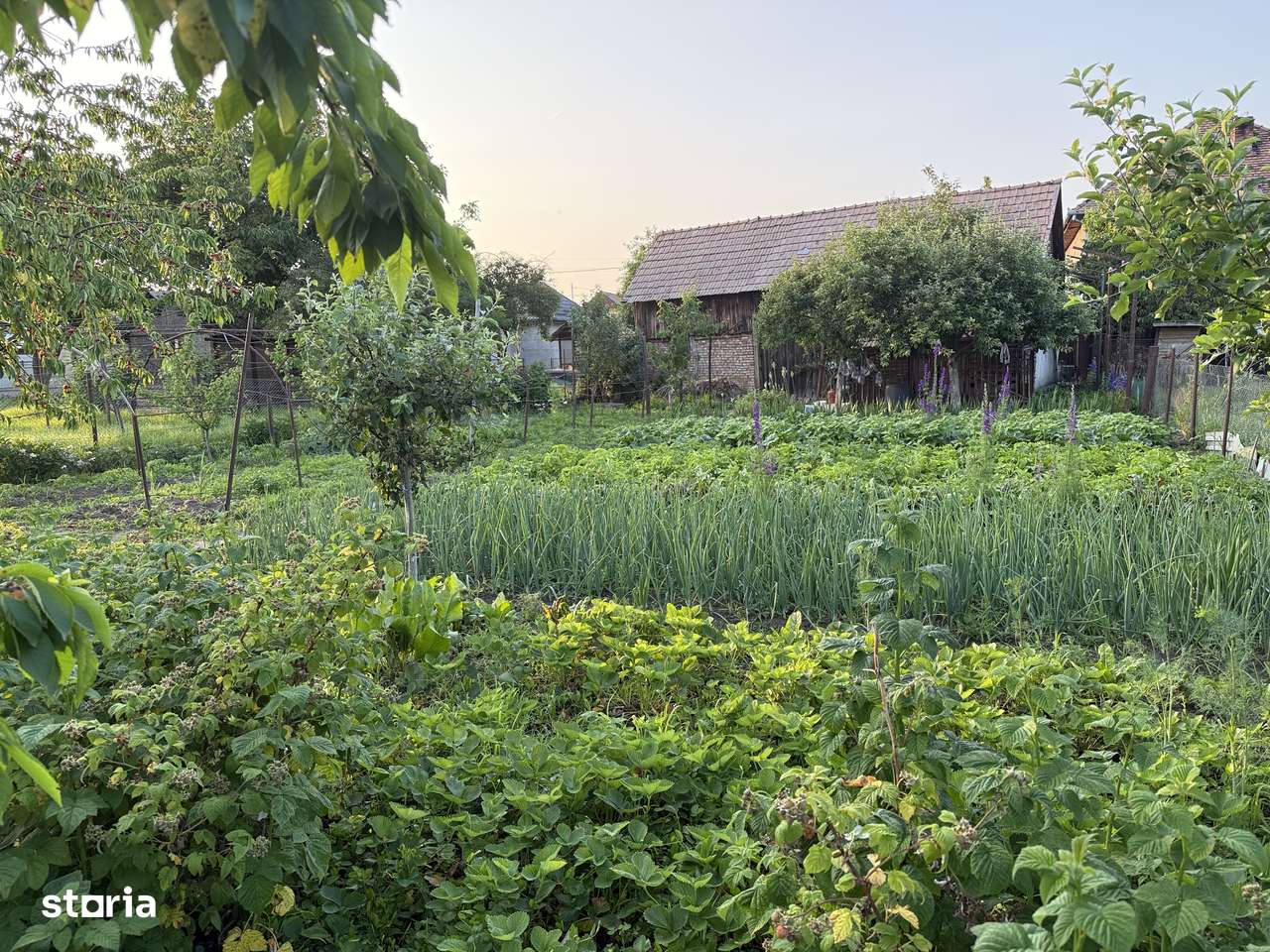 Casa individuala 130mp, Cristesti, Mures - Imagine principală: 5/7