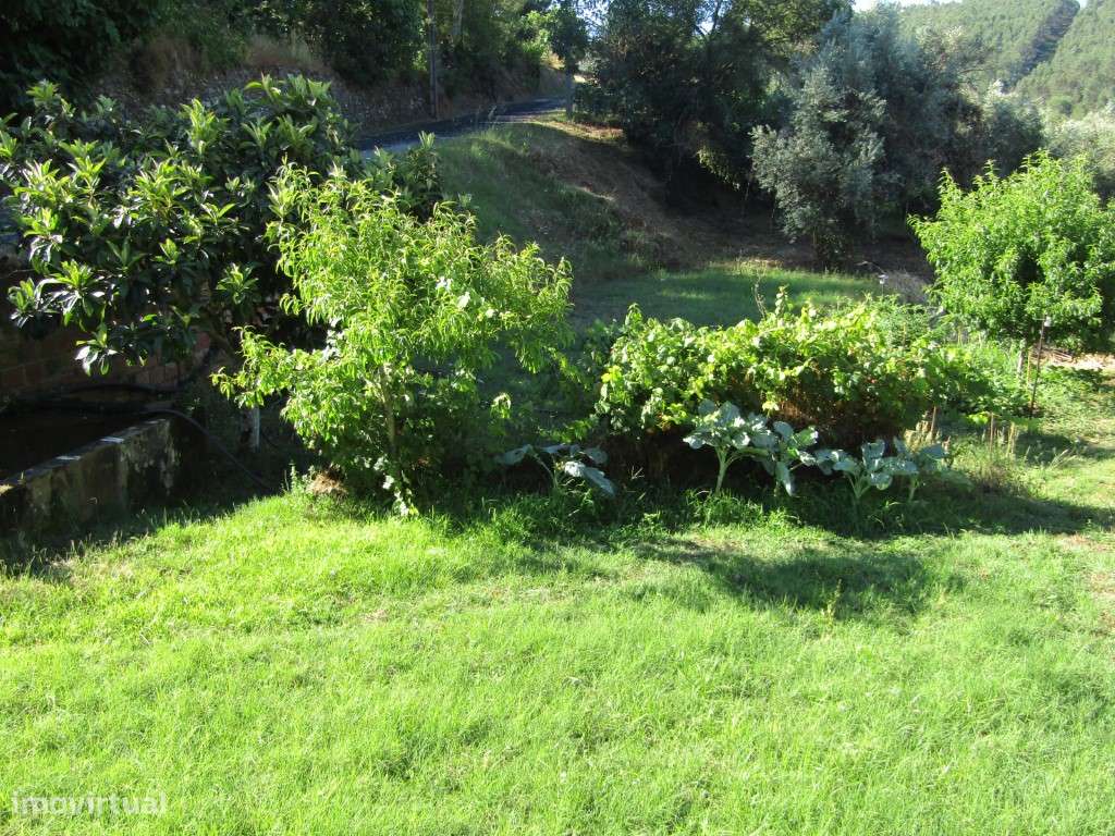 Casa da Taberna, Castelo de Bode, Abrantes-11