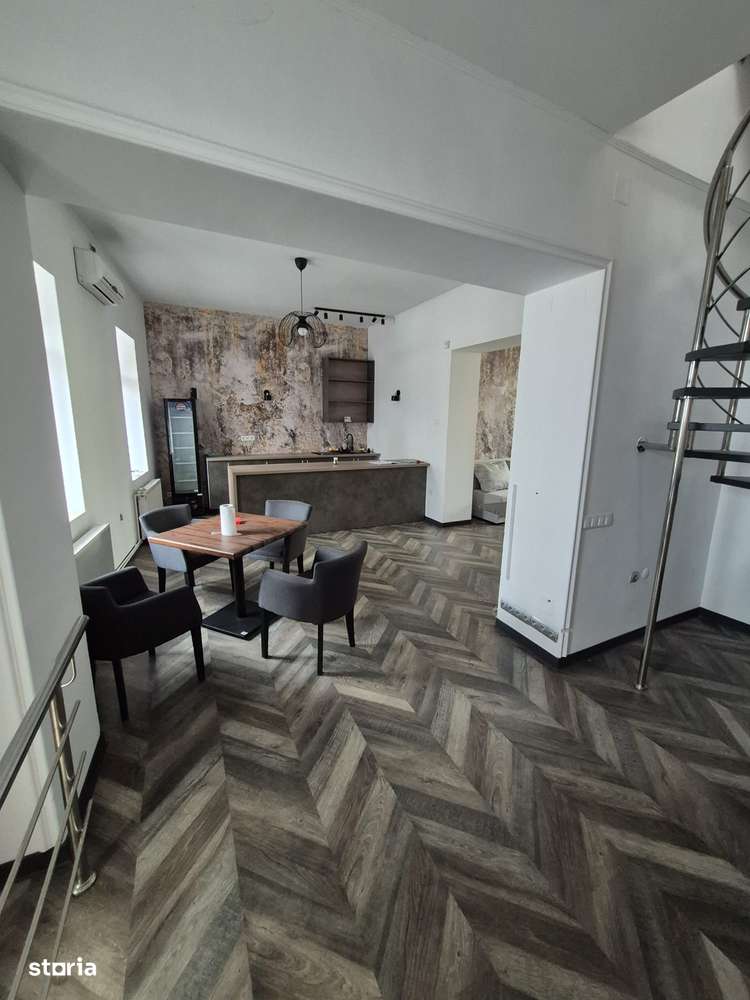 Vila pe strada Maramures pentru birouri, cabinete-3