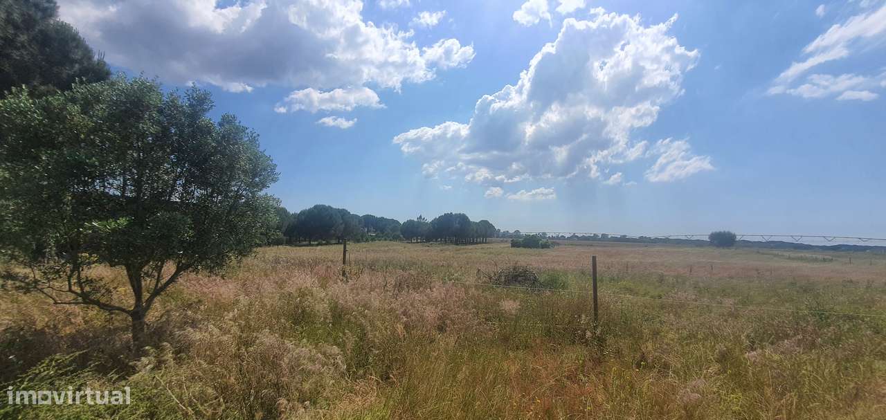 IMPERDÍVEL  Quinta em Foros do Carrapatal, Canha Montijo 51.000m2-7