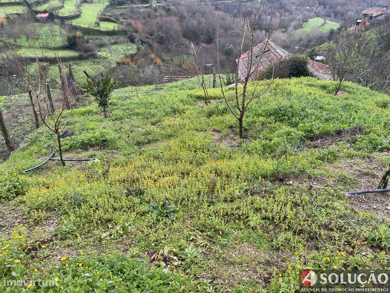 Moradia + terrenos rusticos-10