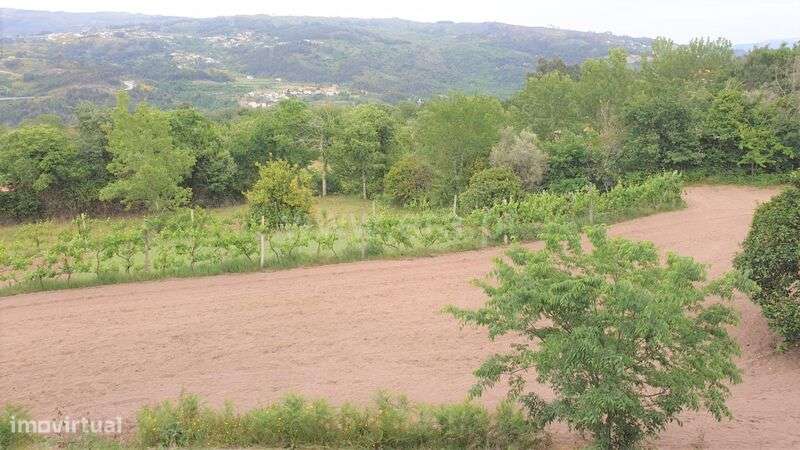 Terreno / Marco de Canaveses, Paredes de Viadores - Grande imagem: 4/15
