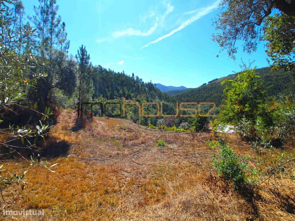 Quinta Isolada com Margem de Rio e Potencial de Eco-Retiro - Arouca-31