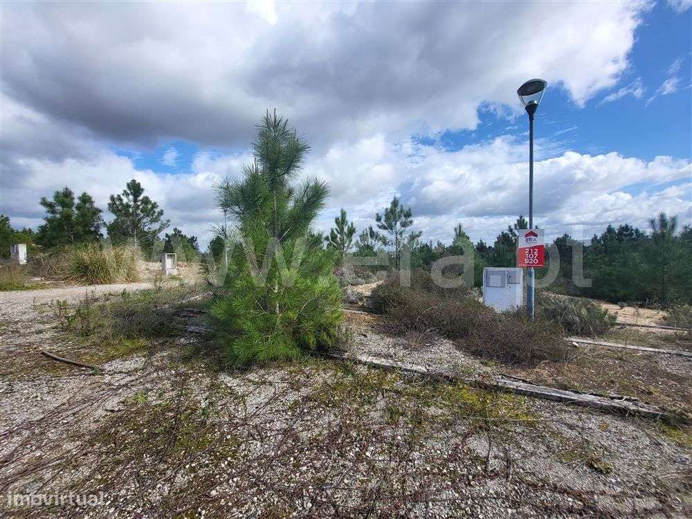 Terreno; Quinta do Conde - Grande imagem: 2/8