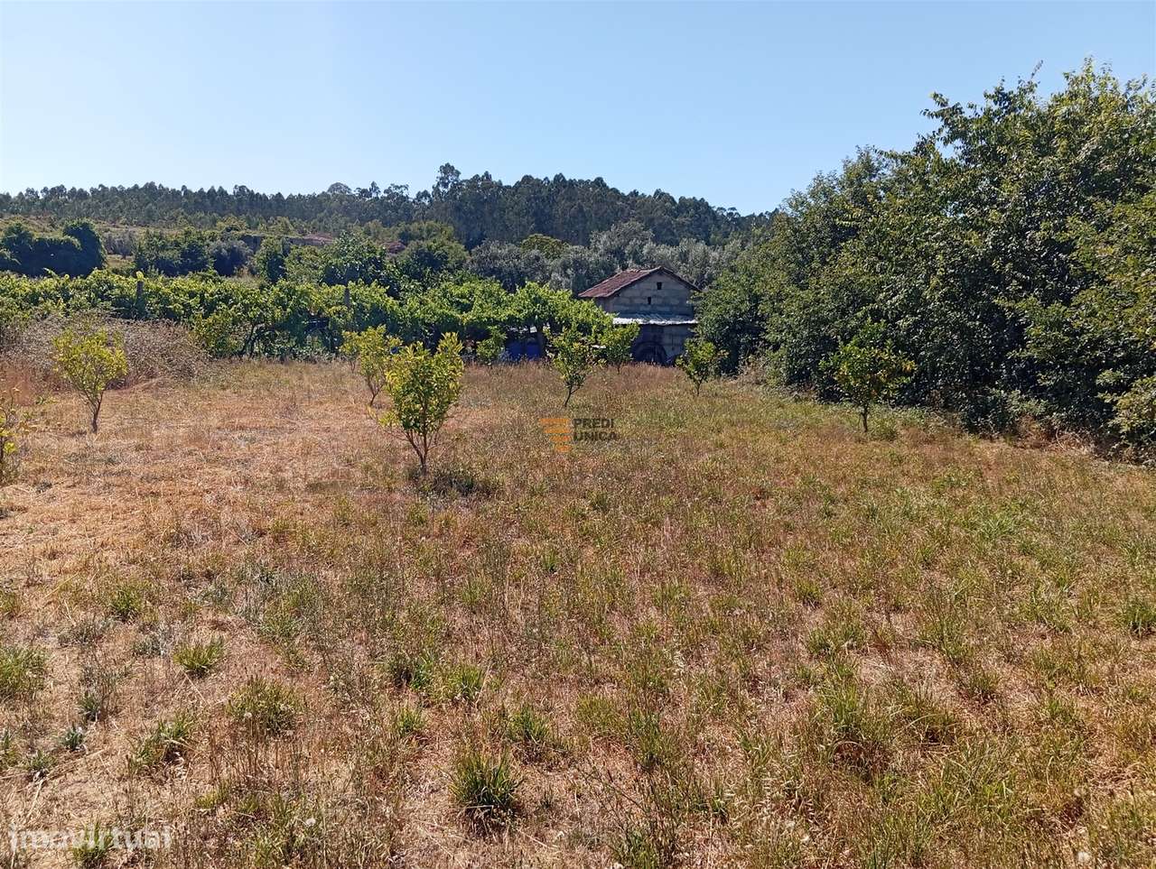 Terreno 3.000m2 Duas igrejas-6