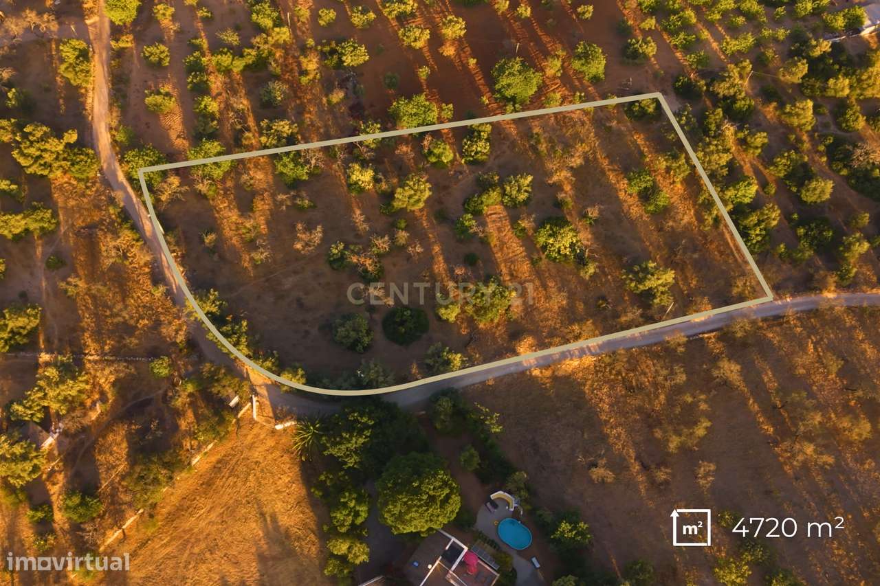 ✅ Terreno Rústico com 4.720 m² – Acessos Excelentes e Potencial Extrao-6