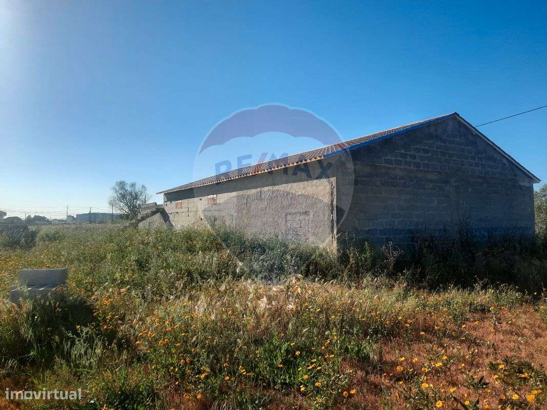 Terreno  para venda - Grande imagem: 5/5