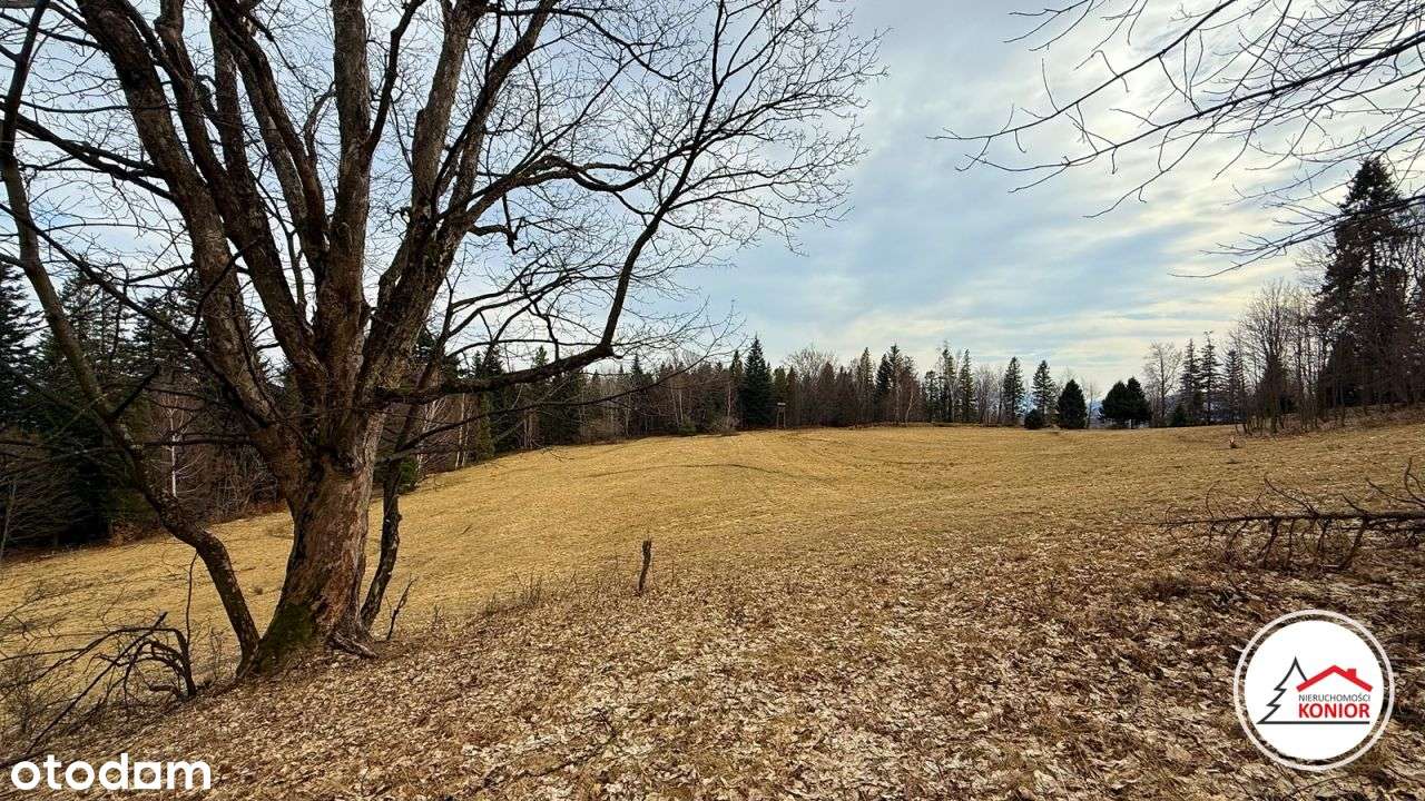 Działka na zboczu Skalitego . - Pełny obrazek: 4/9