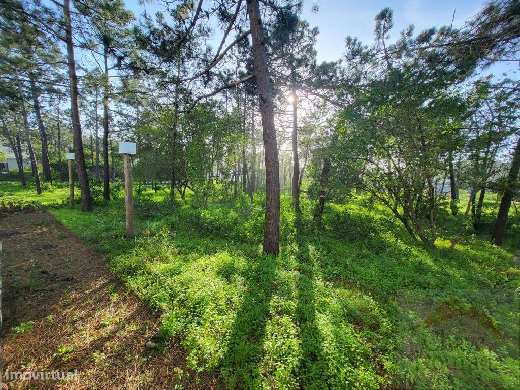 Hotel 3 estrelas - Figueira da foz-28