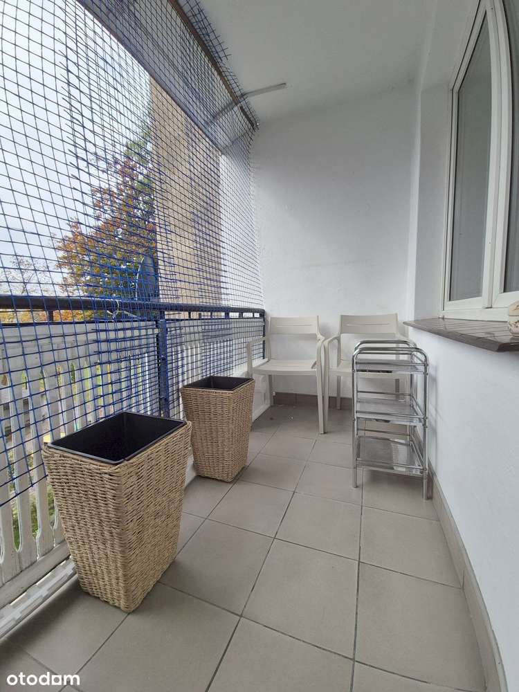 Do wynajęcia mieszkanie z balkonem w centrum / 2 pokoje – ul. Tamka - Pełny obrazek: 3/16