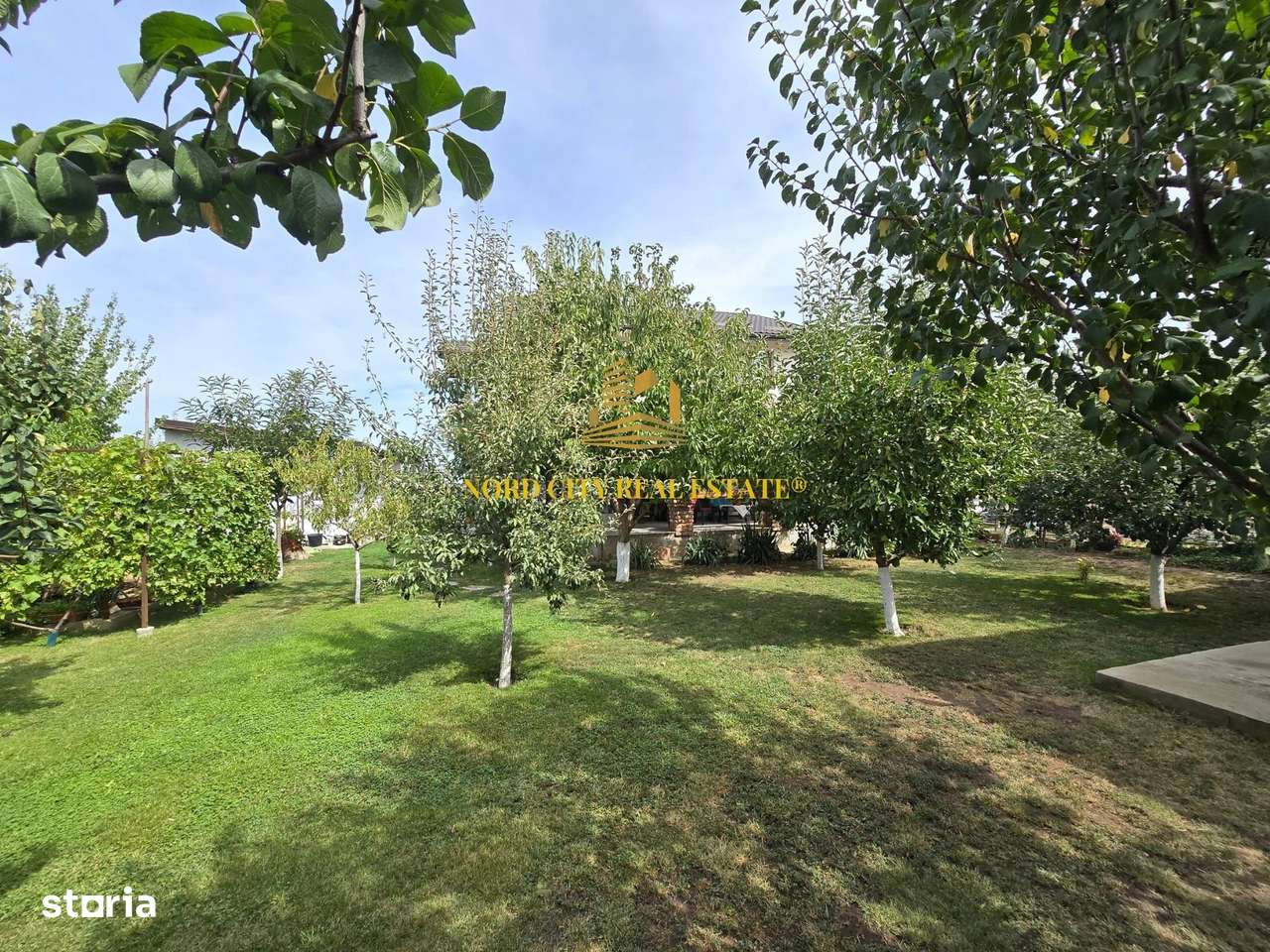 De vanare - Casa Dragomiresti Vale-5