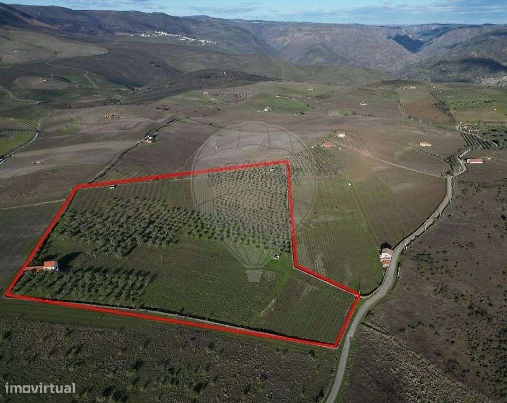 Terreno  para venda - Grande imagem: 2/12