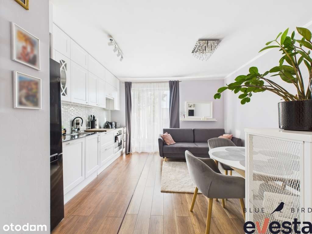 Psie Pole, 37,5m², balkon, gotowe do wprowadzenia - Pełny obrazek: 5/16