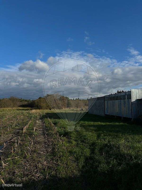 Terreno  para venda - Grande imagem: 5/6