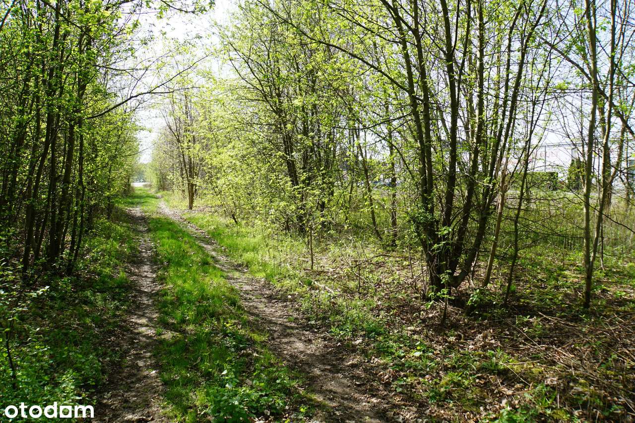 Działka, 600.0 m², Sulejówek-2