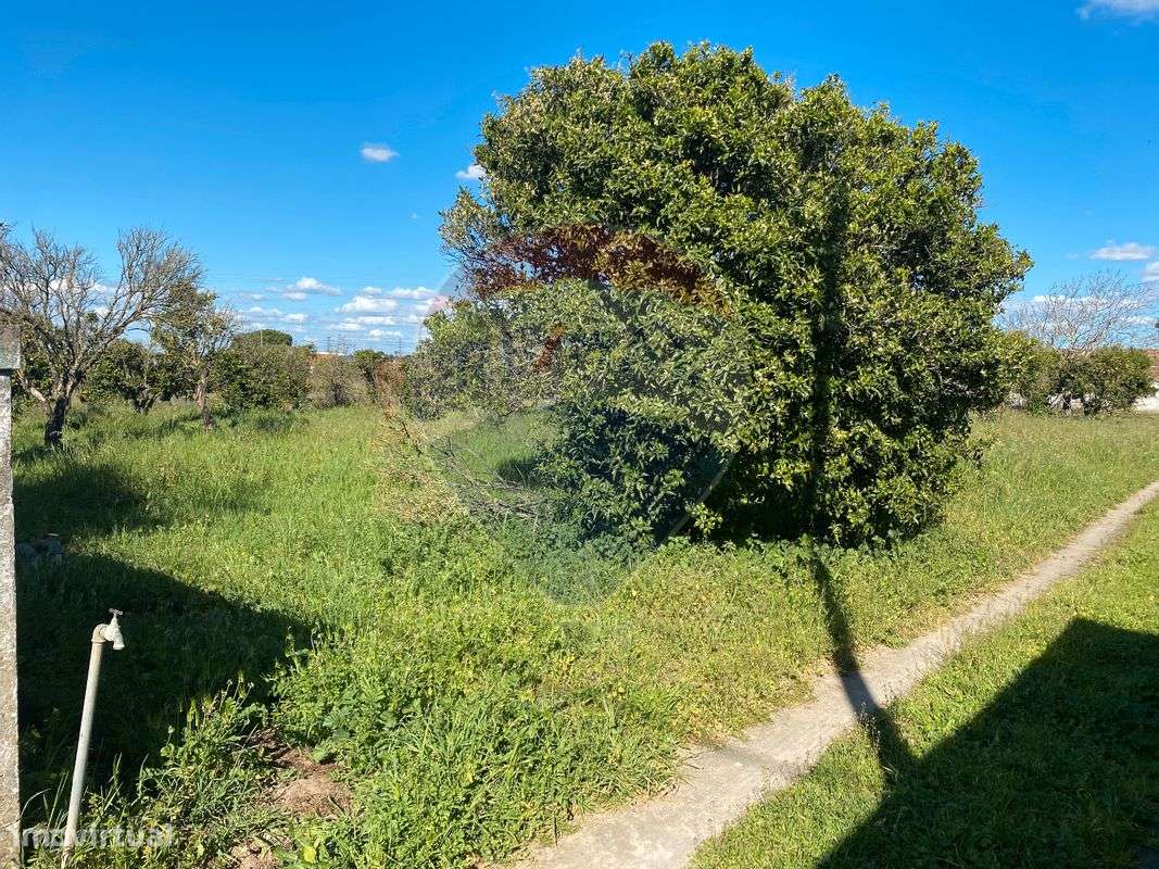 Terreno  para venda - Grande imagem: 3/9