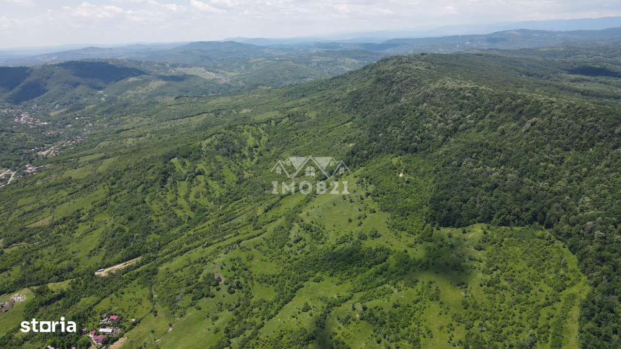 Teren spectaculos cu padure, livada si priveliste panoramica in Soimar-10
