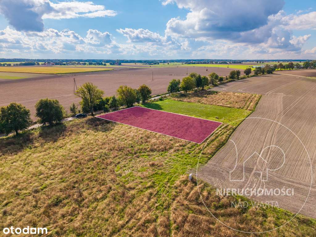 Działka budowlana w sąsiedztwie jez. Budziszewskie-5
