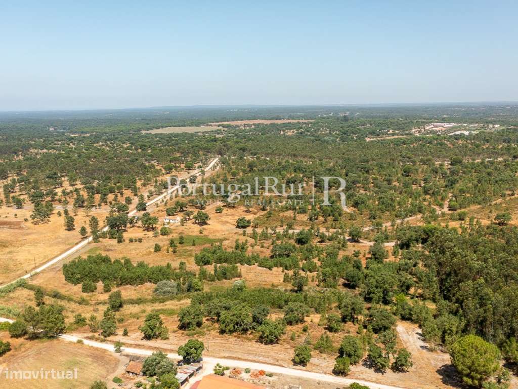 Quinta de 20ha com projeto para Turismo Rural a 1h de Lisboa-8