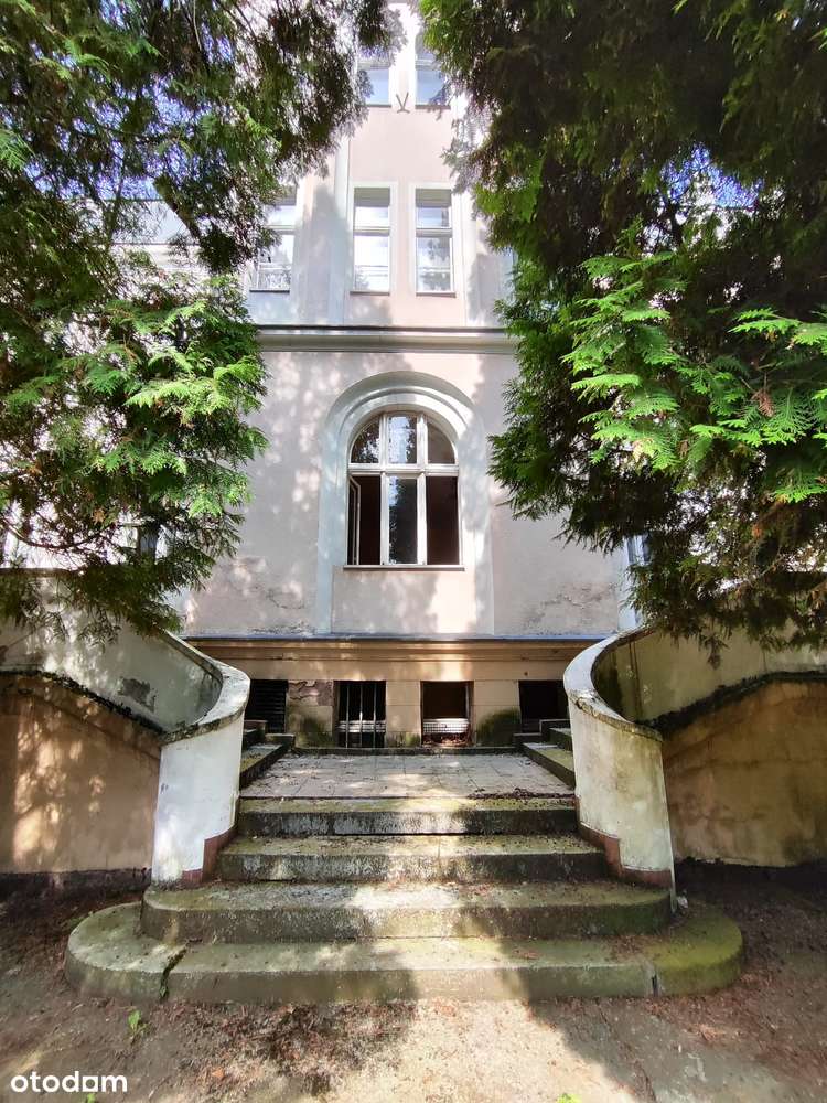 Pałac wraz z parkiem o powierzchni 9ha-5