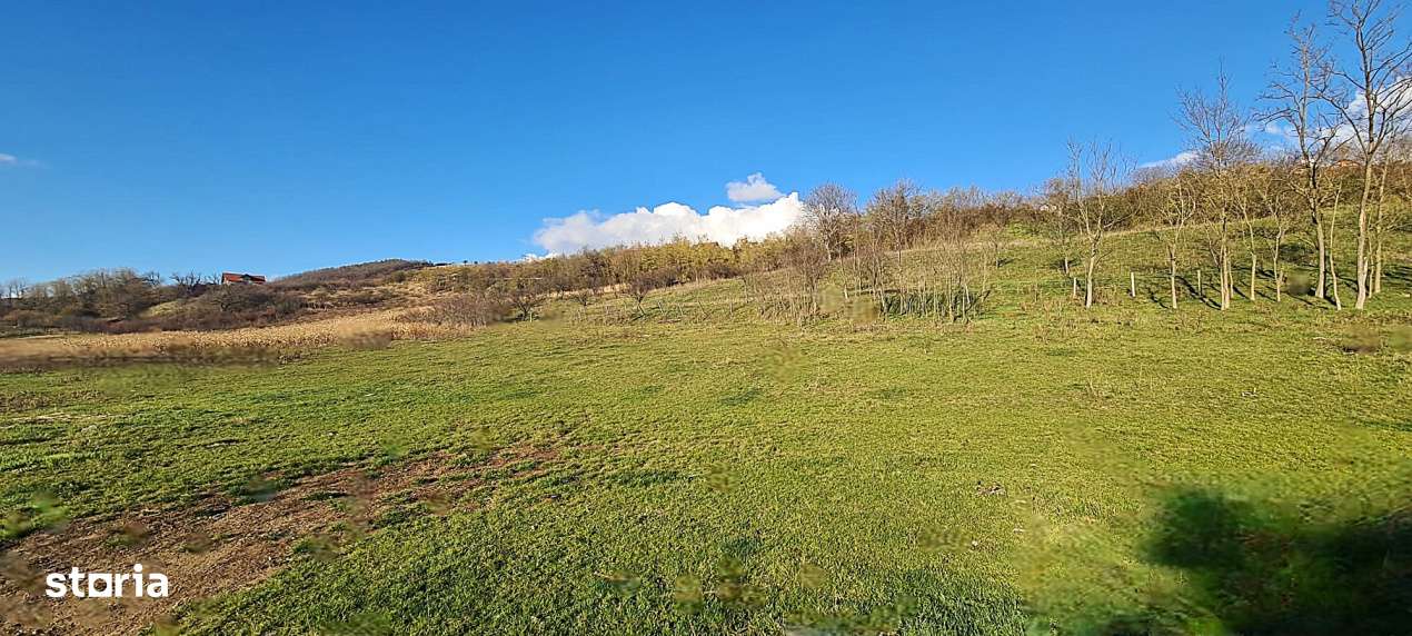 Teren intravilan\constructii \Sura Mare \ Sibiu-5